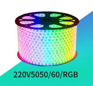 Najnowsze wodoodporne wysokie napięcie 5050 Variable Light Colorful RGB Patch Elastyczne 220 V Light Strip Light Light Strip