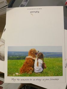 Wholesale Custom sympathy cards printing service half folded size 11x17cm with blank paper envelope in packs of 10 pcs for dog & cat