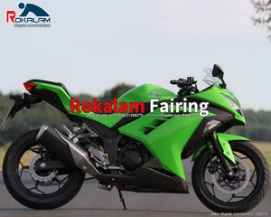 2015 2016 Cowling para Kawasaki Ninja 300 300R EX300 2013 2014 Feedings ex 300 13-16 Fairing de motocicleta (moldagem por injeção)