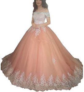 2021 Ball Gown Tulle Quinceanera Dresses Appliques Sweet 16 Long Evening Party Prom Gown Vestidos De 15 Anos Custom Made QC1568