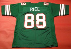 GÜNSTIGER, BENUTZERDEFINIERTER JERRY RICE MISSISSIPPI VALLEY STATE DELTA DEVILS JERSEY, GENÄHT, HINZUFÜGEN EINER BELIEBIGEN NAMEN UND NUMMER