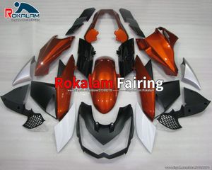 För Kawasaki Fairing Z1000 2010 2011 2012 2013 Z 1000 10 11 12 13 Motorcykel Bodywork Kits (formsprutning)