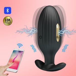 App Kontrol Elektrik Şok Darbe Anal Dildo Vibratör Erkek Prostat Masajı Butt Plug Anüs Dilatör Yetişkin Seks Oyuncakları Erkekler Için Çift LJ201124