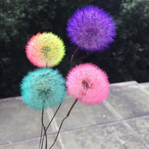 3-4cm/4pcs,Natural Preserved Real Dandelion Craft with Wire Branch,Flower Art DIY Wedding Party Home Decoration Accessories F1217