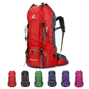 Açık çantalar 60l tırmanma sırt çantası kamp yürüyüş çantası su geçirmez dağcılık trekking seyahat sırtlı molle backpack1