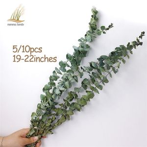 자연 말린 꽃 Eucalyptus 가지 큰 크기 신선한 유칼립투스 잎 영원히 꽃 불멸의 꽃 장식 홈 파티 201222