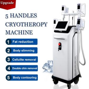 Hot selling 5 Handles cryotherapy slimming frozen fat machine vertical Cryolipolipolysis Freezing slim face lift device
