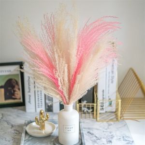 pink white color Natural pampas grass flower beautiful wedding flowers bunch christmas home decor phragmites Tall 17-22 Y201020