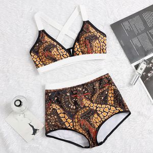 clothing Dragon Print Designer Padded Women's Bikinis Charming Bandage Swimsuits Solid Push Up Bathing Wear
