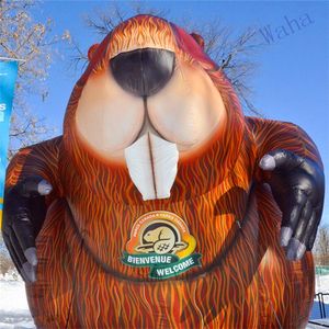 Uppblåsbara ballong bäver uppblåsbara boll caster fiber uppblåsbara för amerikansk eller canada 2021 lycklig groundhog dag