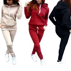 2020 Casual Tracksuit Mulheres Moletom Com Capuz Sweatshirt e Drawstring Pant Women Roupas Conjunto de Inverno Quente Conjunto de Feminino 2 Piece Set Plus Size LJ201117