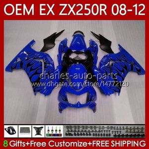 Injektionsform OEM-kropp för Kawasaki Ninja ZX250R ZX 250R ZX250 08-12 Bodywork Blue Flames 81NO.63 EX250 EX250R 08 09 10 11 12 ZX-250R 2008 2009 2010 2011 2012 FAIRING