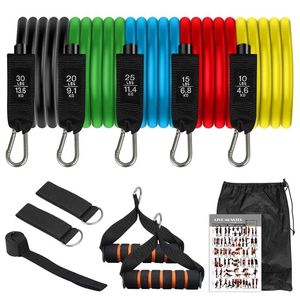 Resistance Bands Set with Door Anchor Handles Carry Bag Legs Ankle Straps for Training Physical Therapy Home Workouts 220115
