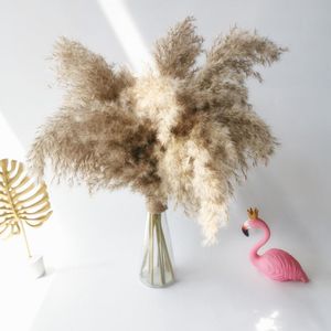 Ghirlande di fiori decorativi 10pc / 20pcs Real Pampas Grass Decor Piante essiccate naturali Wedding Bouquet di fiori secchi Casa per le vacanze di Natale