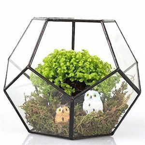 Hot Sale Black Glass Pentagon Geometric Terrarium Container Window Sill Decor Flower Pot Balcony Planter Diy Display Box Y200709