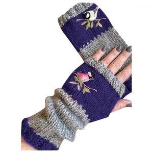 Five Fingers Gloves Top Selling In 2021 Women Winter Knit Warm Plus Velvet Embroidere Outdoor Support Wholesale Drop1