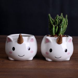 Cute Cartoon Unicorn Doniczka Ceramiczna FlowerPot Soczyste Rośliny Zielone Padzarki Małe Bonsai Pots Home Decoration Y200709