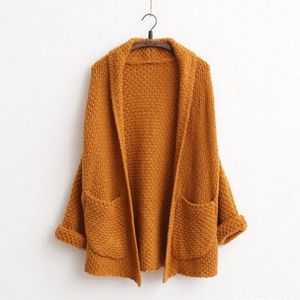 Women's Sweaters Wholesale-Long 2021 Women Fashion Autumn Winter Cardigans Sweater Pocket Batwing Sleeve Thick Casual Knitted Long Cardigan1