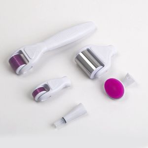 Dermaroller de gelo 6 em 1 Microneedle Derma Roller Kit Branco Cor cinza Microneedling Skin Roller para Facial Beauty Spa Transporte rápido 7 dias