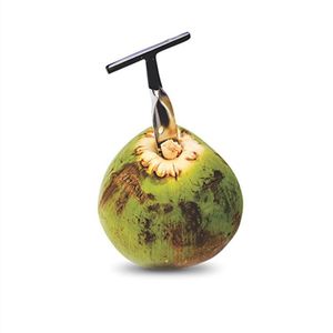 Coconut Opener Tool rostfritt stål Vit kokosnötter Knivvatten Punch Tap Borrstrån Öppet hål Sur för färsk grön ung kokosnöt RRE14263