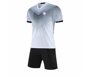 Paraguay Kids Tracksuits leisure Jersey Adult Short sleeve suit Set Men's Jersey Outdoor leisure Running sportswear