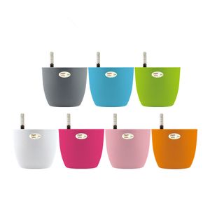 Hot Färgglada Mini Plast Flower Pot Succulent Växtblomma Hem Office Decor