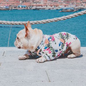 Hundkläder för små hundar Franska Bulldog sommarskjorta på Chihuahua Boutique Shirt Pet Pug Jacket Dog Apparel XS-XXL T200710