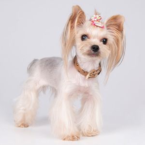 PET PU Hollars Ins Мода Печатная собака Поводки наружные Портативные Регулируемые Домашние Животные Очастоты Щенок Тедди Шнауцер Поводок