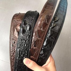 Wholesale genuine alligator belts for sale - Group buy Belts Alligator Leather Men Luxury Back Bone Belt Fashion Leisure Genuine Women High Quality Smooth Business