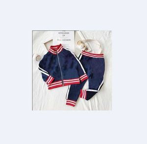 Hoodies Spring Autumn Garment Baby Boys Girls Zipper Hoodies 2 PCS/Set Kids Long Sleope Twinsets Tracksuit