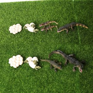 Simulering Wildlife Amphibian Djur Modell Krokodil Tillväxt Cykel Figurer Samling Science Utbildnings Nature Props C0220