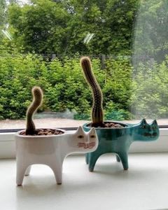 Leuke kat staart bloempot keramische persoonlijkheid creatieve cactus multi vlees eenvoudige decoratie desktop cartoon dieren Bloempot