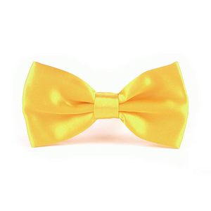 2021 Predied Mens Dickie Bow Tie Ties Bowtie Pre 묶여 조정 가능한 웨딩 핀 솔리드 컬러 일반 실크 30 색