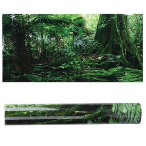 Dekorasyonlar PVC Sürüngen Terrarium Dekorasyon Akvaryum Arka Poster Poster Yağmur Ormanı Peyzajı