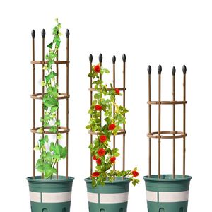 Andra trädgårdstillbehör Klättring Vine Rack Plant Potted Support Frame Plast Stål Blomma Grönsaker Dekorativ Trellis Bracket