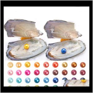 Partihandel 2018 Akoya Pearl Oyster 6-7mm Round 25 Colors Freshwater Natural Cultured in Fresh Oyster Mussel Supply Akynx Rhcnz