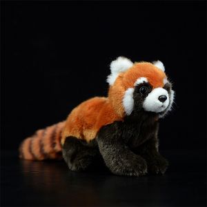 Simulation Red panda Stuffed Plush Toys Ailurus fulgens Lesser Lovely Cute Dolls Soft Kawaii Animals Kids Gift Collection 210728