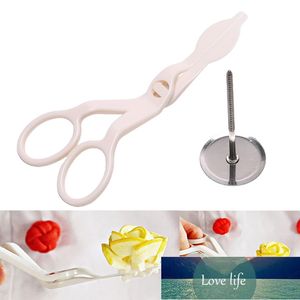 Forbici per fiori Nail Safety Rose Decor Lifter Fondente Cake Decorating Vassoio Crema Trasferimento Cottura Strumenti per pasticceria Prezzo di fabbrica design esperto Qualità Ultimo stile