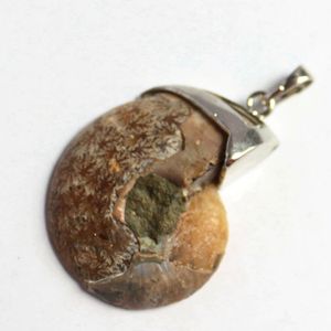 Natural cristal fóssil shell caracol pingente colar de pedra healing adivinha colares para decoração de casa coleção de presente