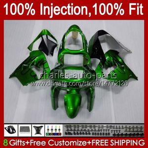 Injection mold Fairings For KAWASAKI NINJA ZX9 R ZX 9R 9 R 900 CC 98-99 Bodywork Kit 17No.22 ZX900 ZX9R 98 99 00 01 ZX-900 900CC ZX-9R 1998 1999 2000 2001 OEM Body green flames