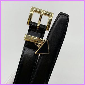 Women Designer Belts For Womens Gold Needle Buckle Letter Triangle Luxury Belt Ladies Waistband Ladies Cintura Ceinture Width 2.0cm D221153F