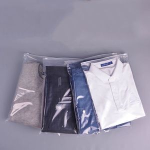 Wholesale toys retail packaging for sale - Group buy 50pcs Matte Clear Plastic Package Bags Frosted zip Seal ziplock for clothing underwear toys cosmetic retail packaging