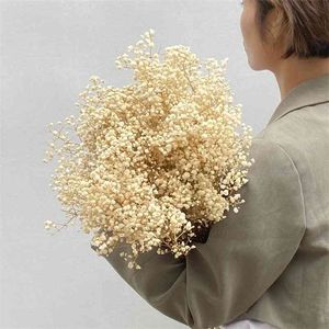 Gypsophila Baby Hirth Million Stars Natural Planta Preservada Flores Secadas Casa Casa De Natal Ano Decoração Personalizada 210706