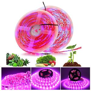 Volledig spectrum LED Lood Grow Lights M Roll LEDS SMD Chips Strips IP20 IP65 voor Binnenverlichting Greenhouse Hydroponic Plant Rode Blauwe Groeilampen EUB