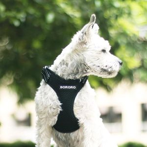 Colares Coleiras de Cão Não Pull Mesh Harness Respirável Cachorrinho Colete Fios Reflexivos Para Pequenos Cães Médio Produto de Treinamento Ajustável PET