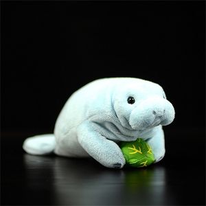 Manatee Cute Simulação Silell Cows Marinhos Bonecas Soft Plush Brinquedo Lifelike Trichechu Mar Animal Fin Hydrodamalis Gigas Presentes 220217