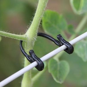 Other Garden Supplies 100Pcs Plant Tied Buckle Fixed Lashing Hook Graft Clips Agricultural Tool