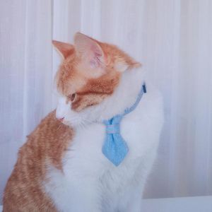 Kattkrafter leder Cowboy Bow Tie Collar Separat justerbar valp Chihuahua bomullsdjur kattunge halsband tillbehör de Gato