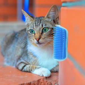Pet Self Groomer для Управления инструмента для ухода Собаки для удаления на стене Угловой Массаж Волос с Catnip