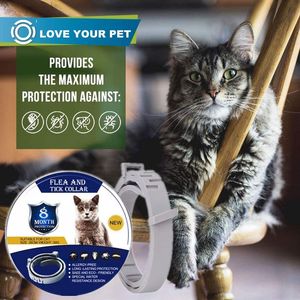 Coleiras de gato leva colarinho por 8 meses de prevenção com óleo essencial ajustável impermeável mosquitos de pulga tick gatinho